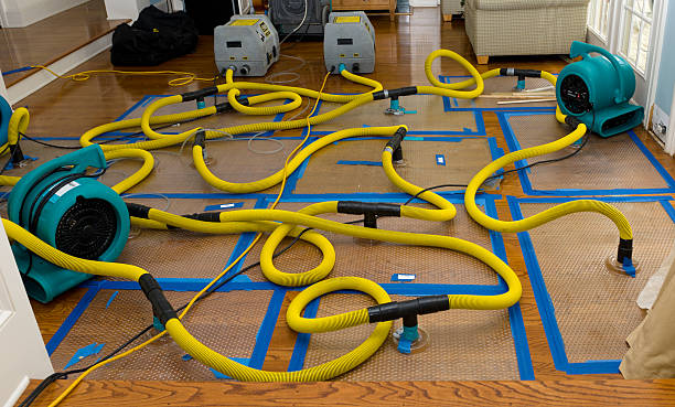 Professional Water Damage Repair technician working in Scottown, OH